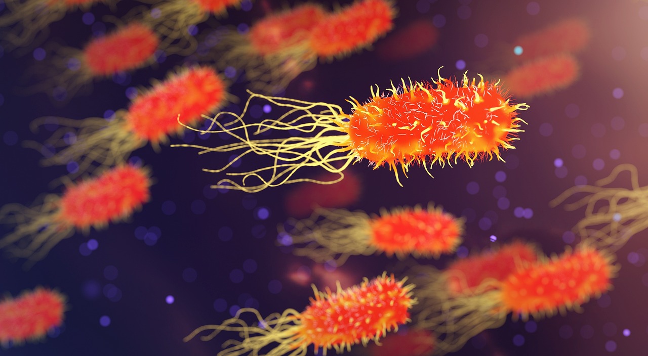 Advances in Stem Cell Research - Unlocking New Possibilities for Medicine